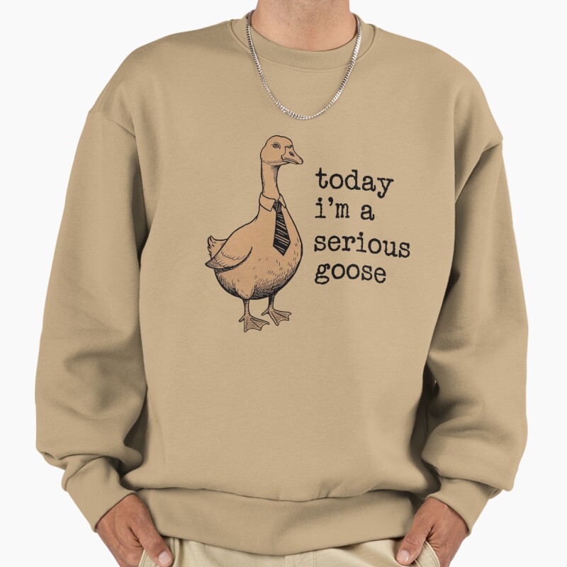 Today Im A Serious Goose Funny T-Shirt  Unisex Sweater Crewneck Pullover Casual Streetwear Graphic Print
