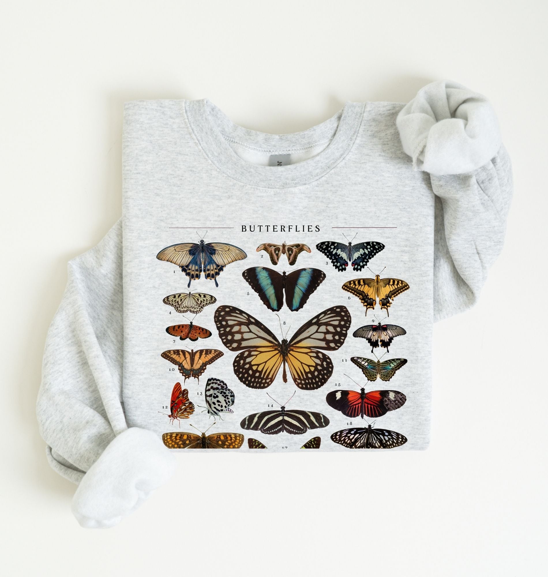 Butterflies Chart Sweatshirt | Vintage Butterfly Graphic Nature Gift