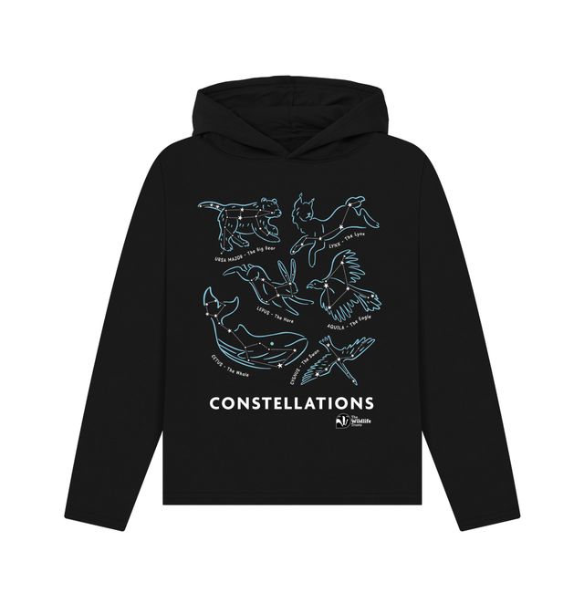 Constellation Relaxed Fit Hoodie