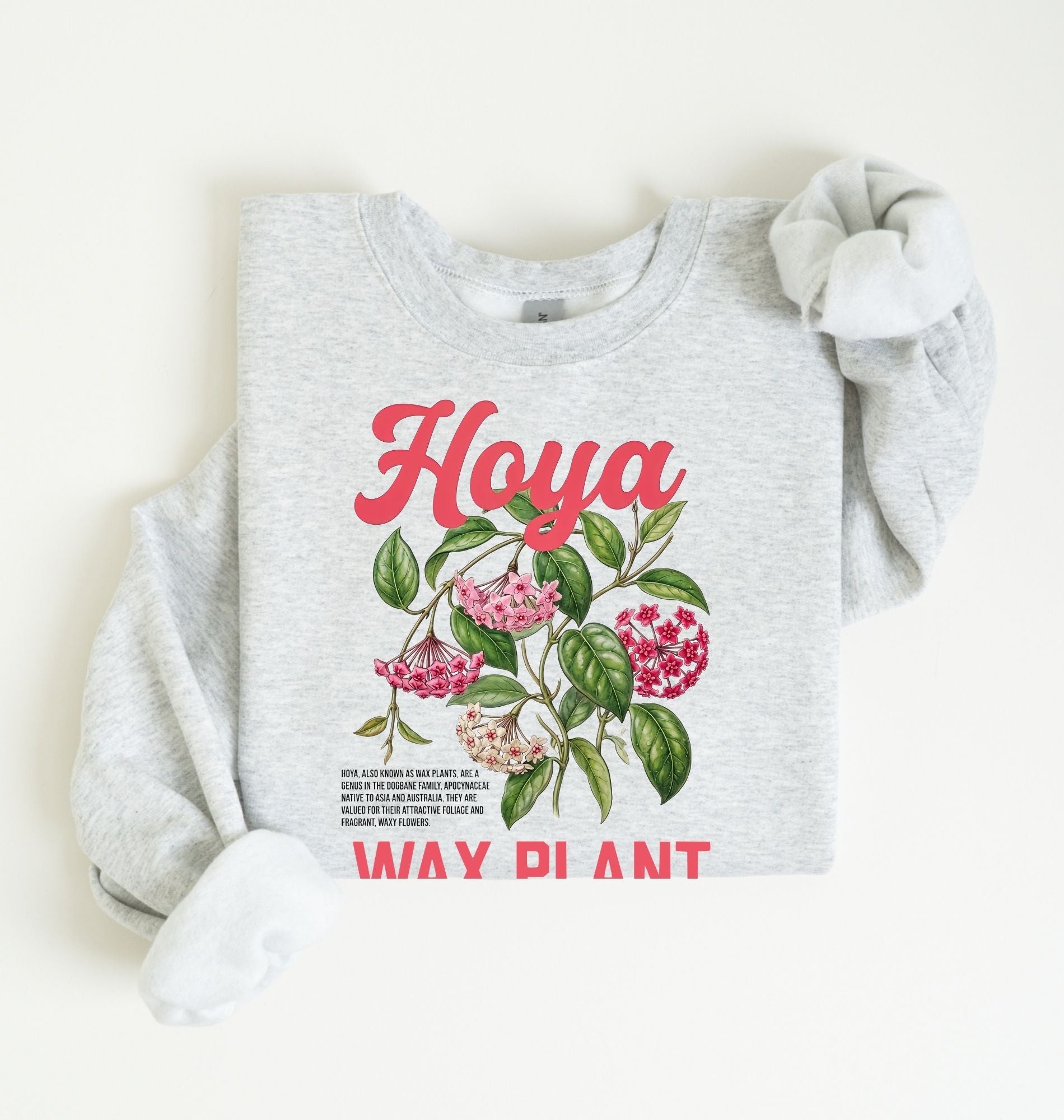 Hoya Wax Plant Sweatshirt | Botanical Plant Lover Gift